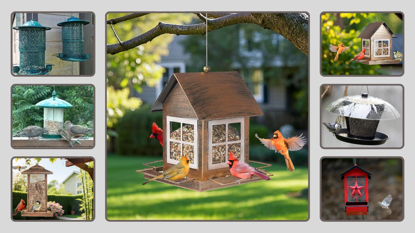 7 Best Bird Feeders for Large Birds Choose the Perfect One