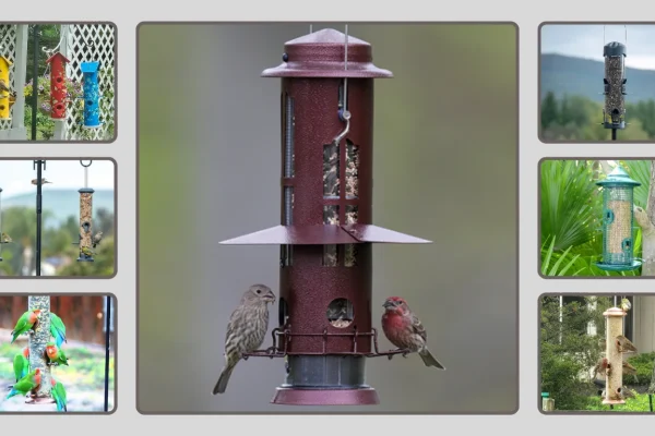 7 Best Tube Bird Feeders for Outdoors Hanging
