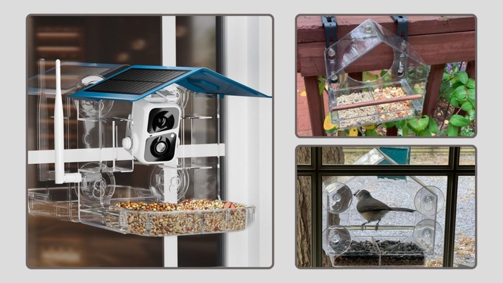 Birdwatching Notifications & Species Identification Gift Feeder