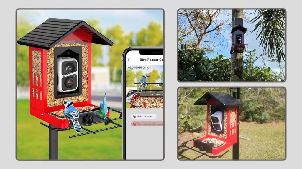 birdsnap® APS Metal Bird Feeder with Camera & Add-Ons