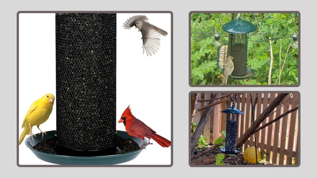 Bird Feeder (ASIN: B0D8PKSL4V)