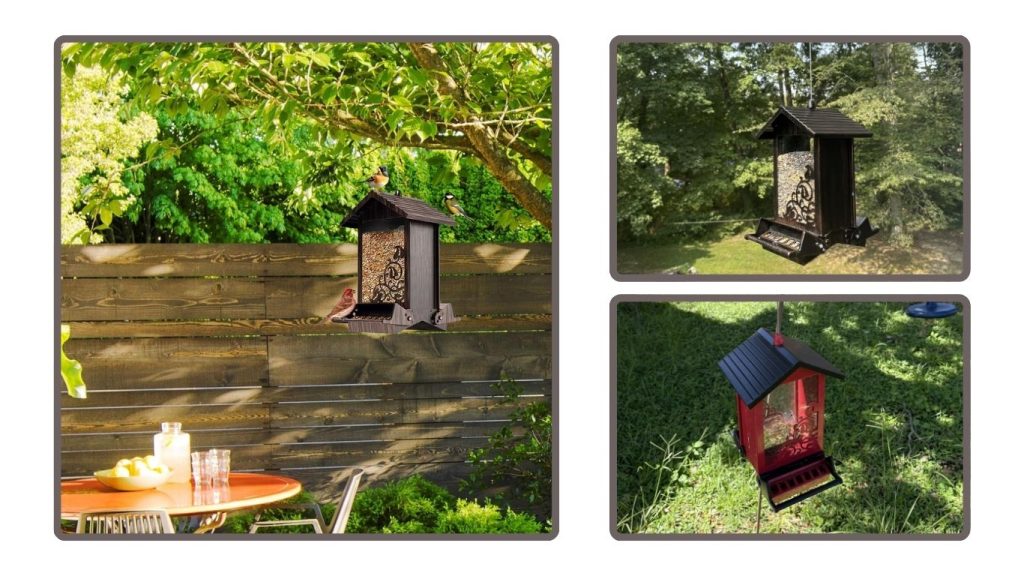Squirrel-Proof Outdoor Bilateral Weight-Activated Bird Feeder