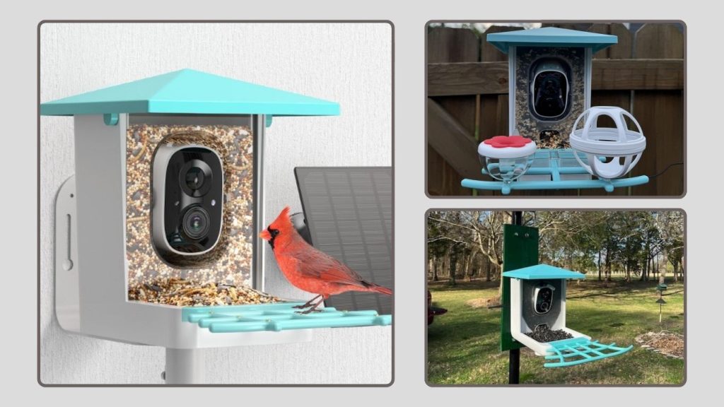 Smart Bird Feeder Camera with Motion Detection & AI Identify (Model B0F9P849TV)