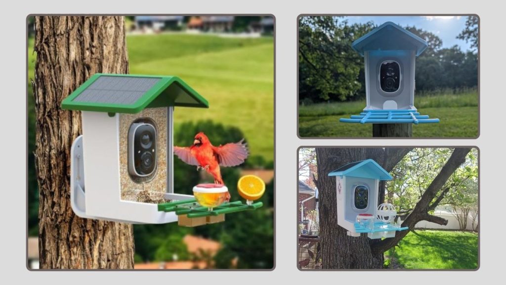 Smart Bird Feeder Camera with AI Recognition