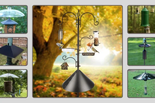 9 Best Bird Feeder Squirrel Baffles Review in 2026