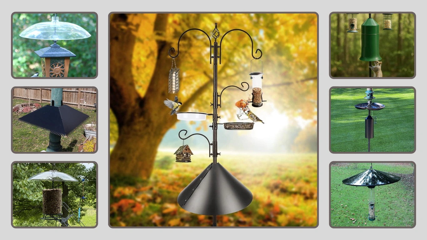 9 Best Bird Feeder Squirrel Baffles Review in 2026