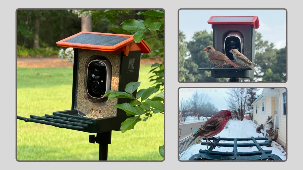 Beako™ Smart Bird Feeder with Camera – Solar Powered