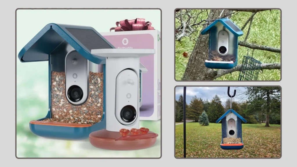 Bird Buddy Solar Smart Bird Feeder Camera