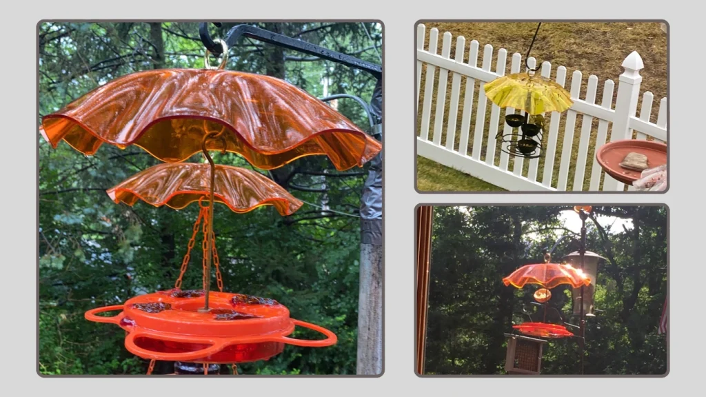 Birds Choice Red Weather Guard