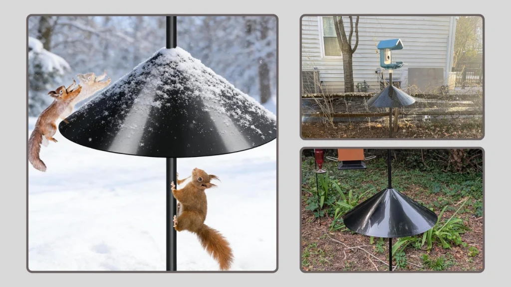 Gtongoko Squirrel Stopper – Shepherd’s Hook Feeder Guard