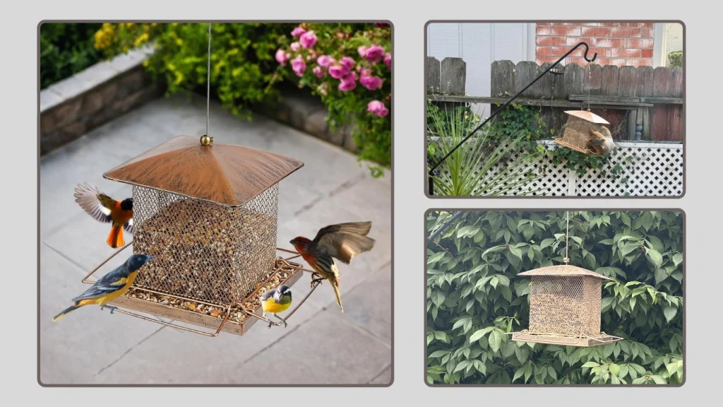 IWNTWY High-Capacity Hanging Bird Feeder