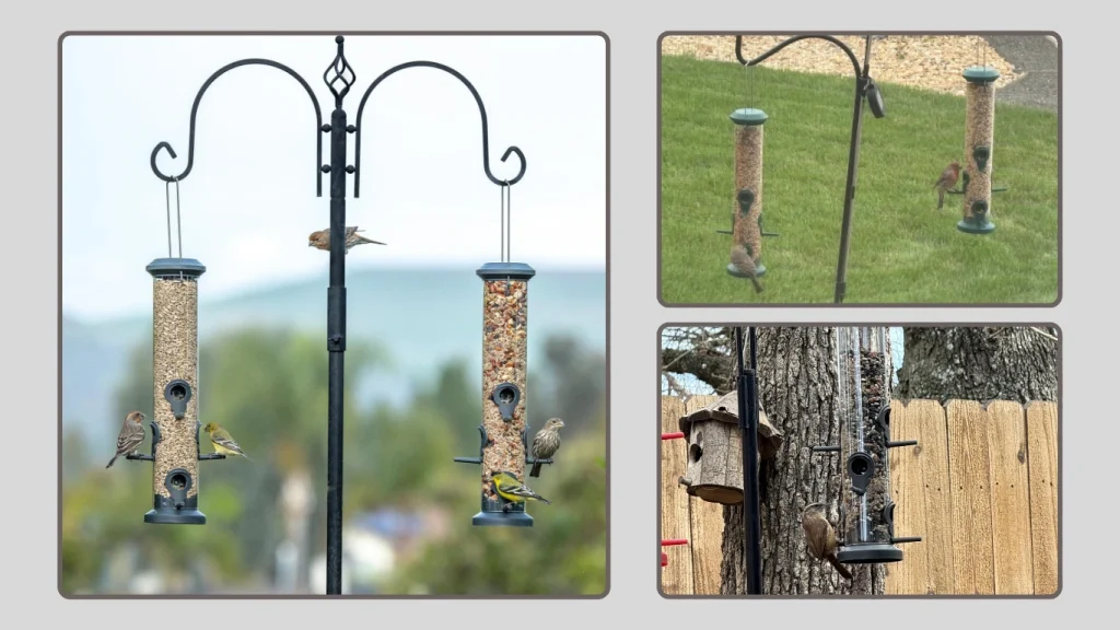 Kingsyard Large-Capacity Bird Feeder for Chickadees & Cardinals