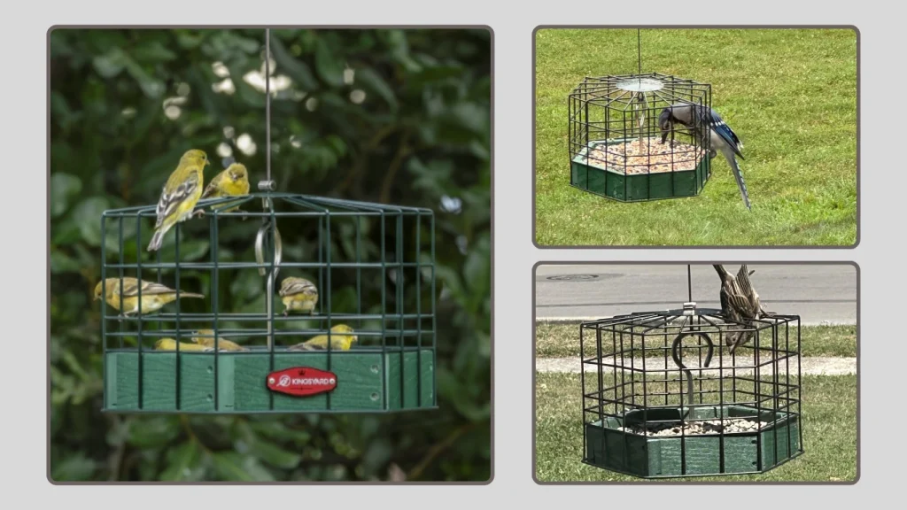 Kingsyard Squirrel-Proof Feeder Outdoor Hanging (Green)