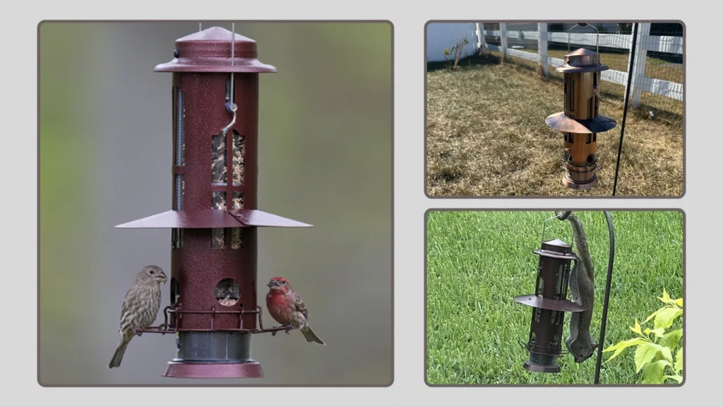 Kingsyard Squirrel-Resistant Tube Bird Feeder for Outdoors Hanging