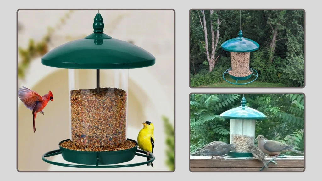 Metal Hanging Bird Feeder – 3.0 lb Weatherproof Outdoor Seed Feeder