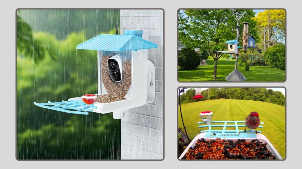 NETVUE Birdfy Smart Bird Feeder with Camera