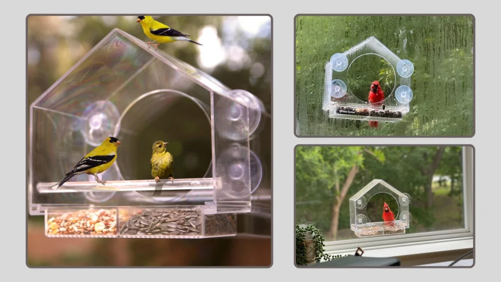 Nature Anywhere Window Bird Feeder (Sliding Window Mount)