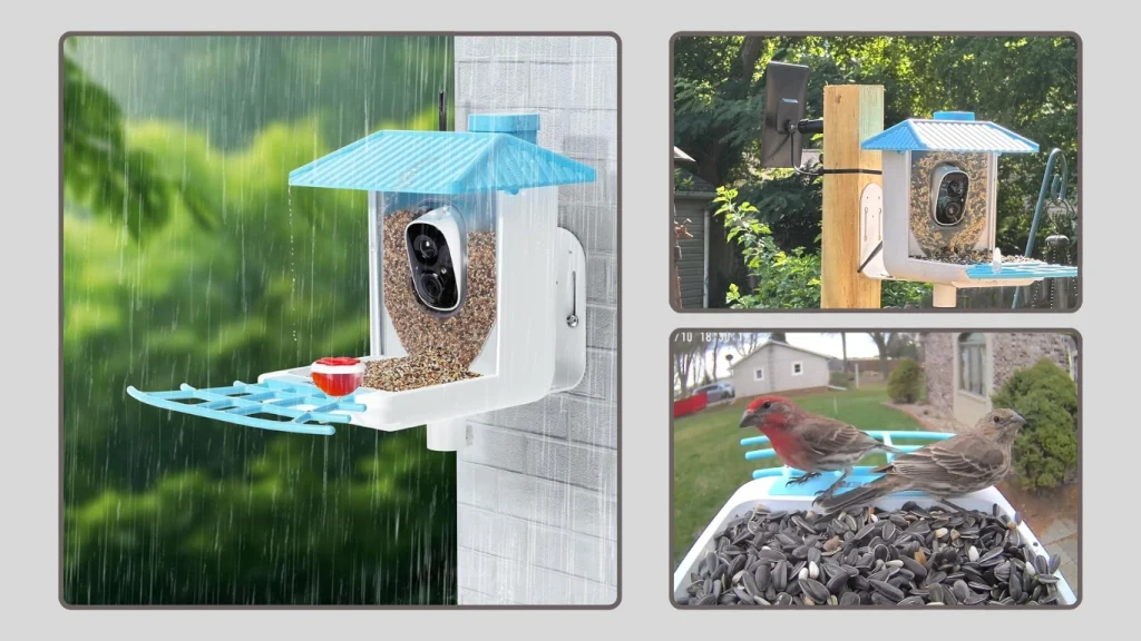 Osoeri Bird Feeder Camera with Real-Time Viewing