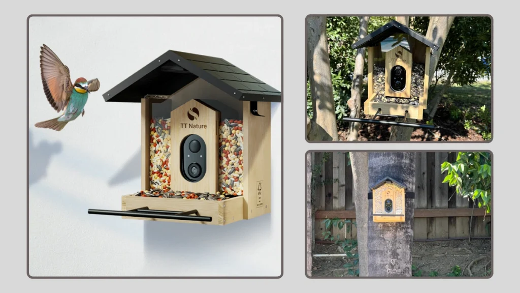 Osoeri Bird Feeder with Camera – Real-Time Monitoring