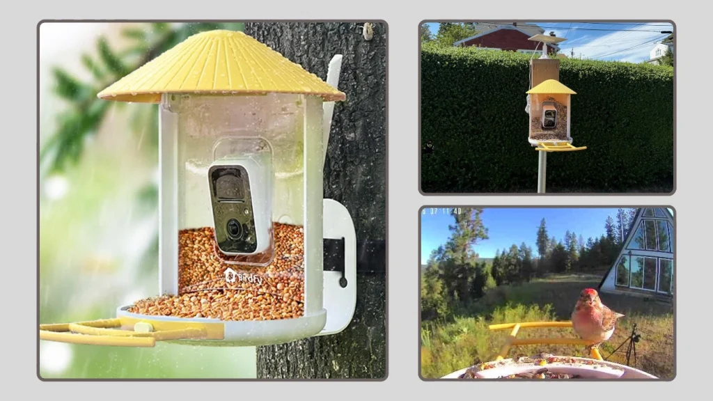 PEEIPM Outdoor Smart Bird Feeder with Camera