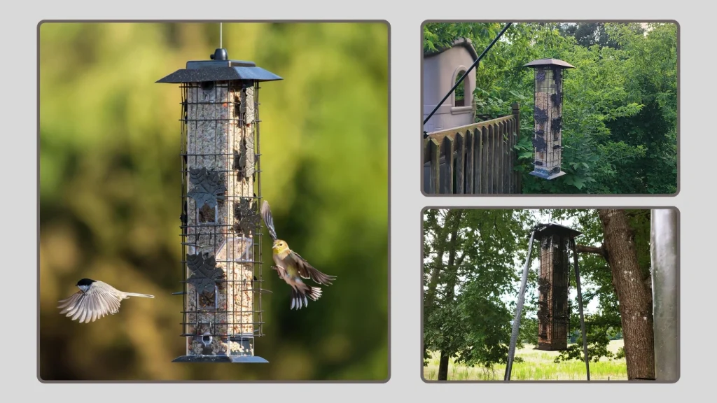 Perky-Pet Squirrel Be-Gone Wild Bird Feeder