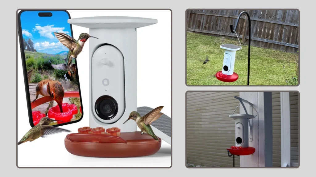 Smart Bird Feeder with Camera (Recognition & Weatherproof)