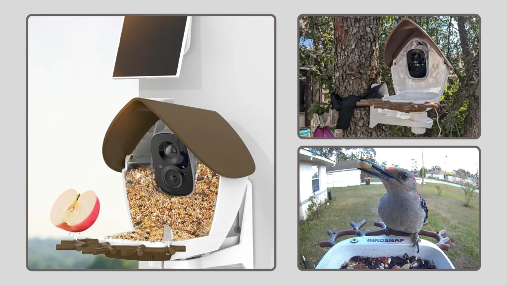 Smart Bird Feeder with Camera Solar Powered