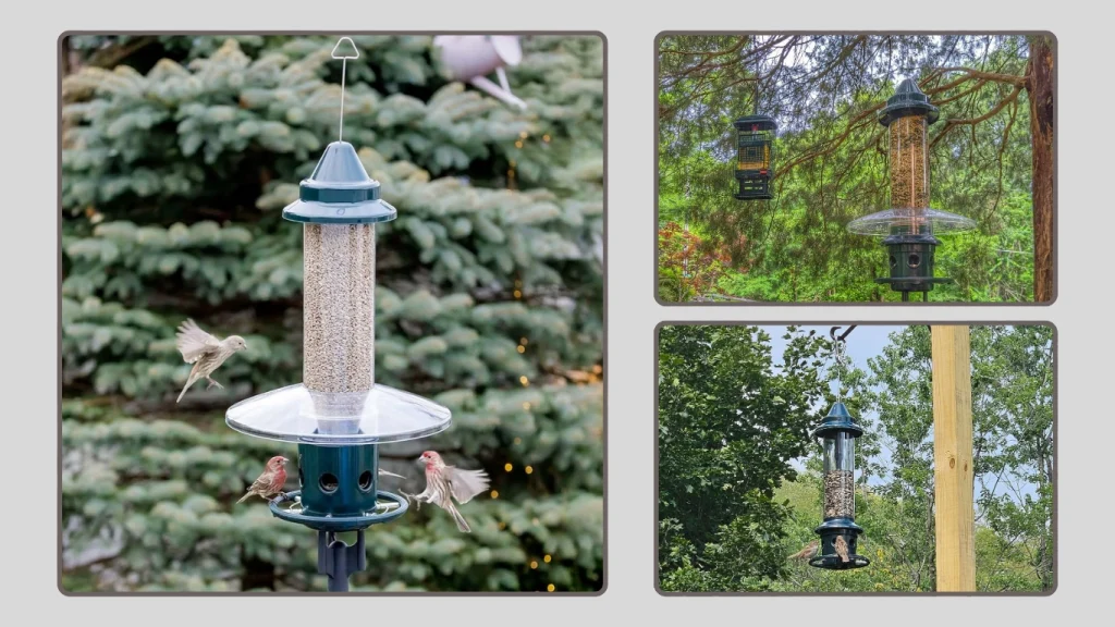 Squirrel Buster Plus Squirrel-Proof Bird Feeder – 5.1 lb Capacity