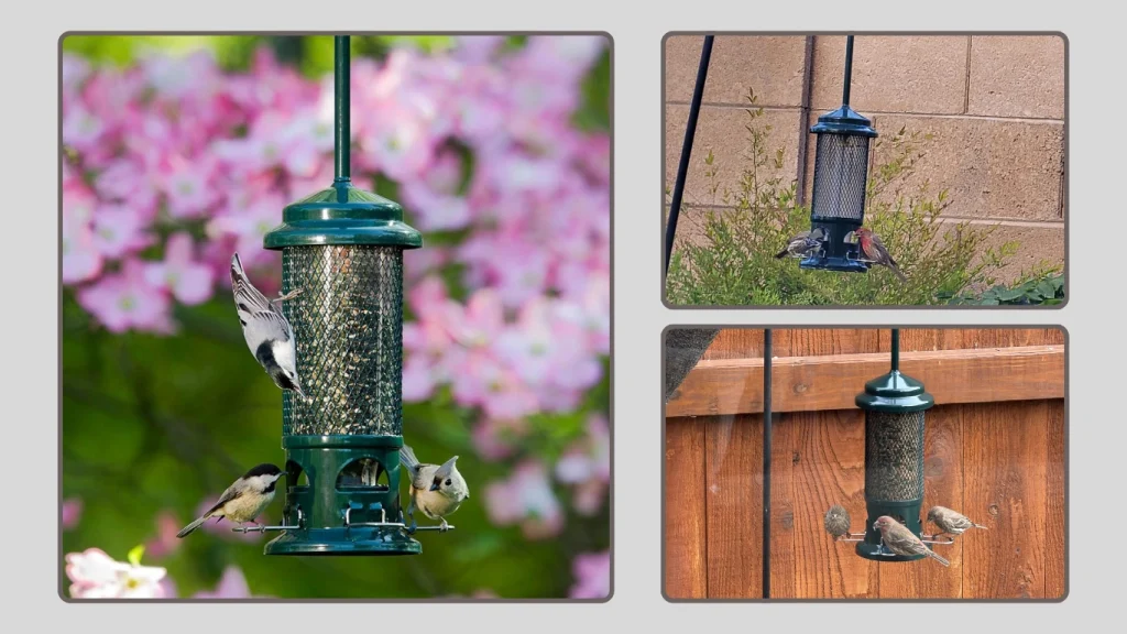  Squirrel Buster Standard Bird Feeder with Adjustable Perches