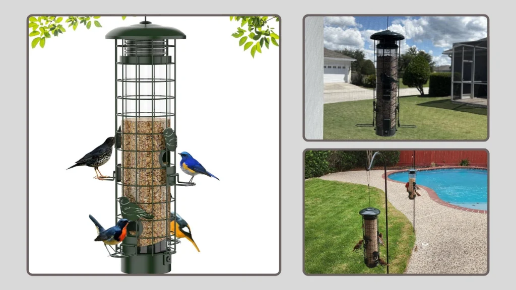 Squirrel Outdoor Protection Feeder (CardinalChickadee Friendly)