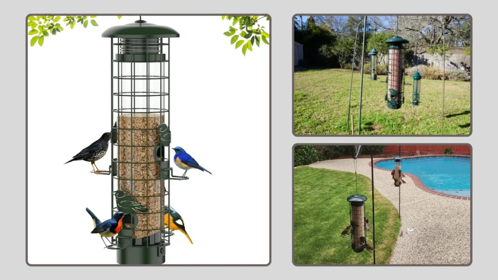 Squirrel Outdoors Bird Feeder – Protection for Cardinals & Chickadees