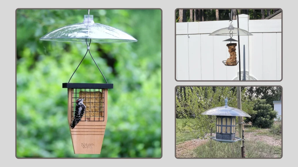Squirrel Plastic Baffle – Outdoor Hanging Feeder Protector