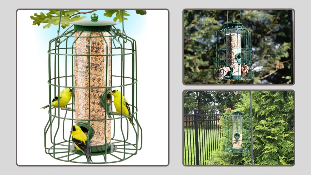 Squirrel-Proof Bird Feeder for Outdoors Hanging (Metal Green)