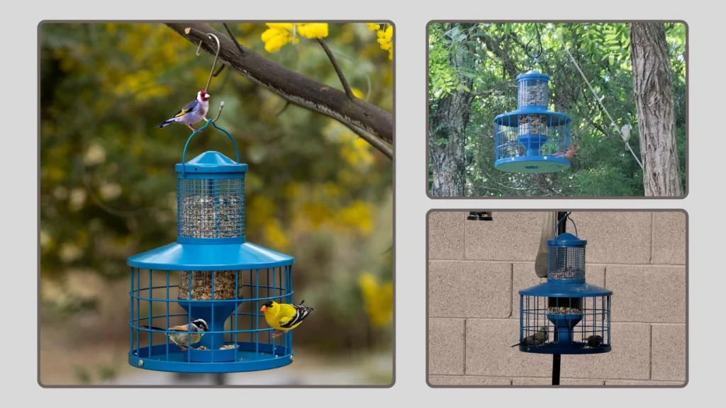 Squirrel-Proof Bird Feeder with Cage & Detachable Cleaning (Blue)