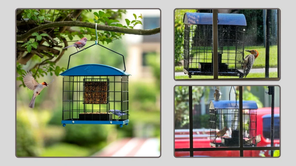 Squirrel-Proof Dual Purpose Starling-Proof Outdoor Feeder