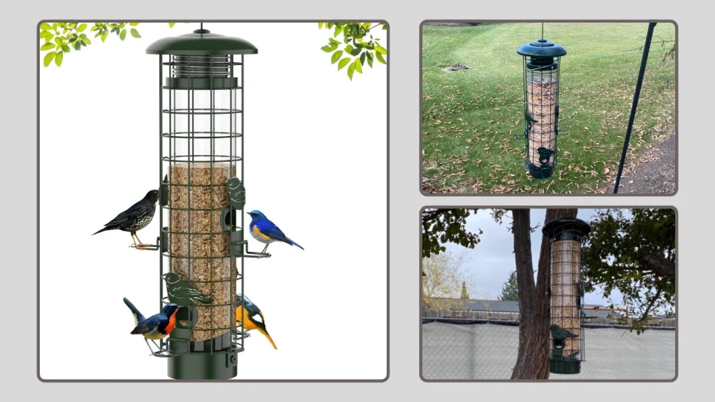 Squirrel-Resistant Tube Bird Feeder for Outdoors Hanging