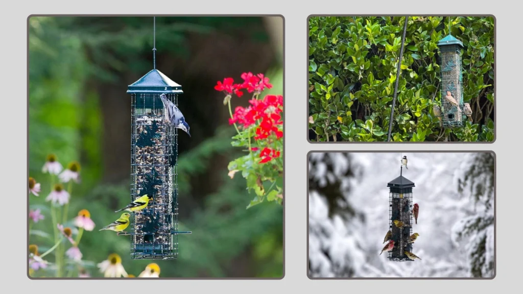 Squirrel Solution200 Squirrel-Proof Bird Feeder (3.4 lb Capacity)