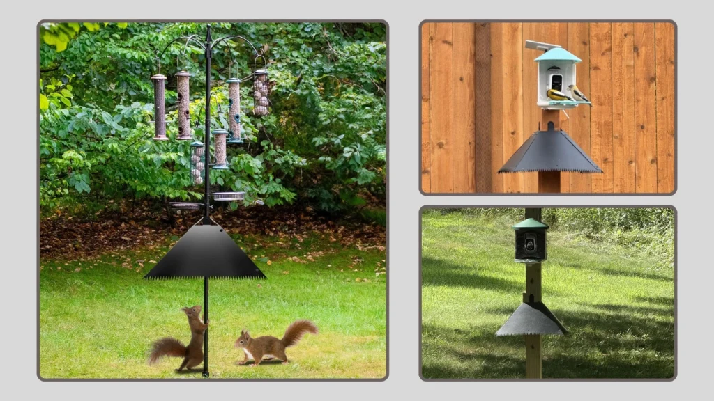 TSSOIYLR Galvanized Squirrel Guard – For Feeders & Birdhouses