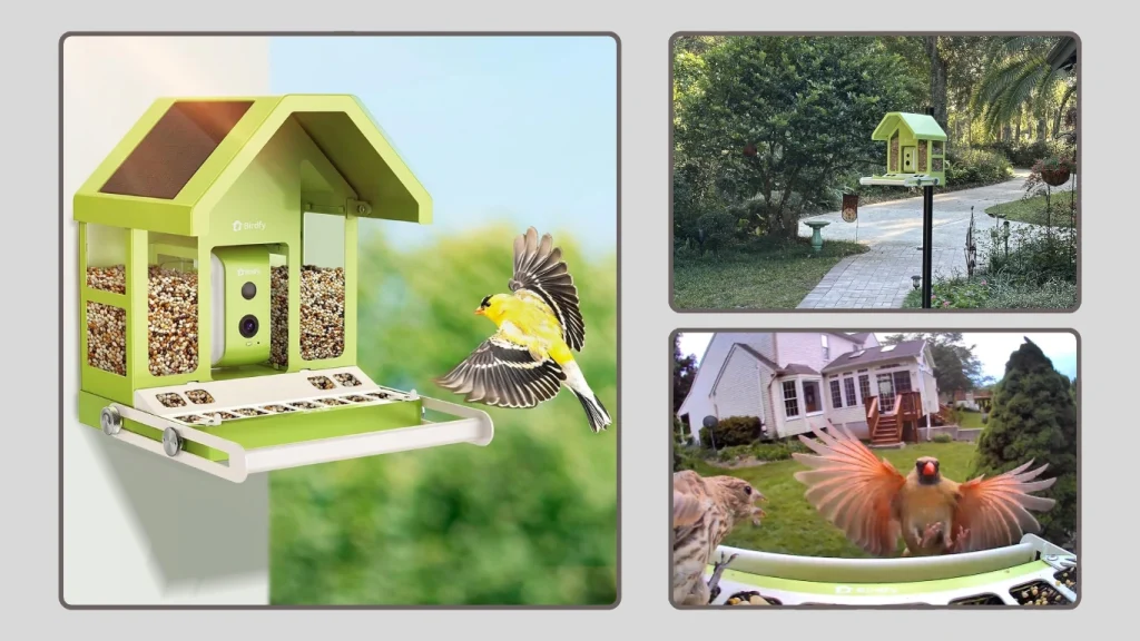 TT Nature Bird Feeder with Camera (Upgraded Notifications)