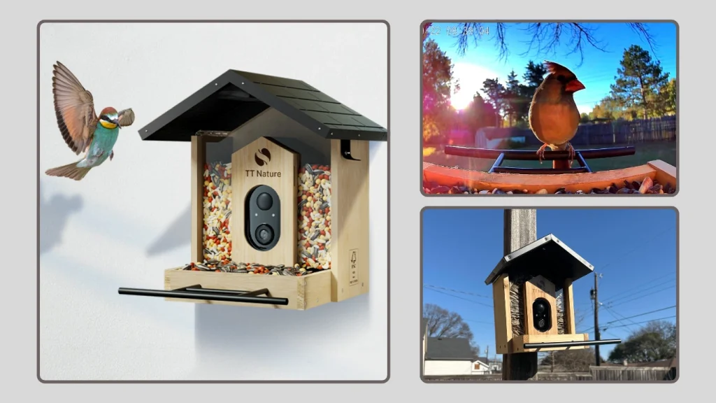 TT Nature Upgraded Bird Feeder Camera with Real-Time Notifications