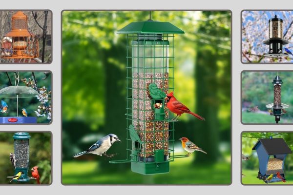 16 Best Bird Feeders That Are Squirrel Proof: Reviews in 2026