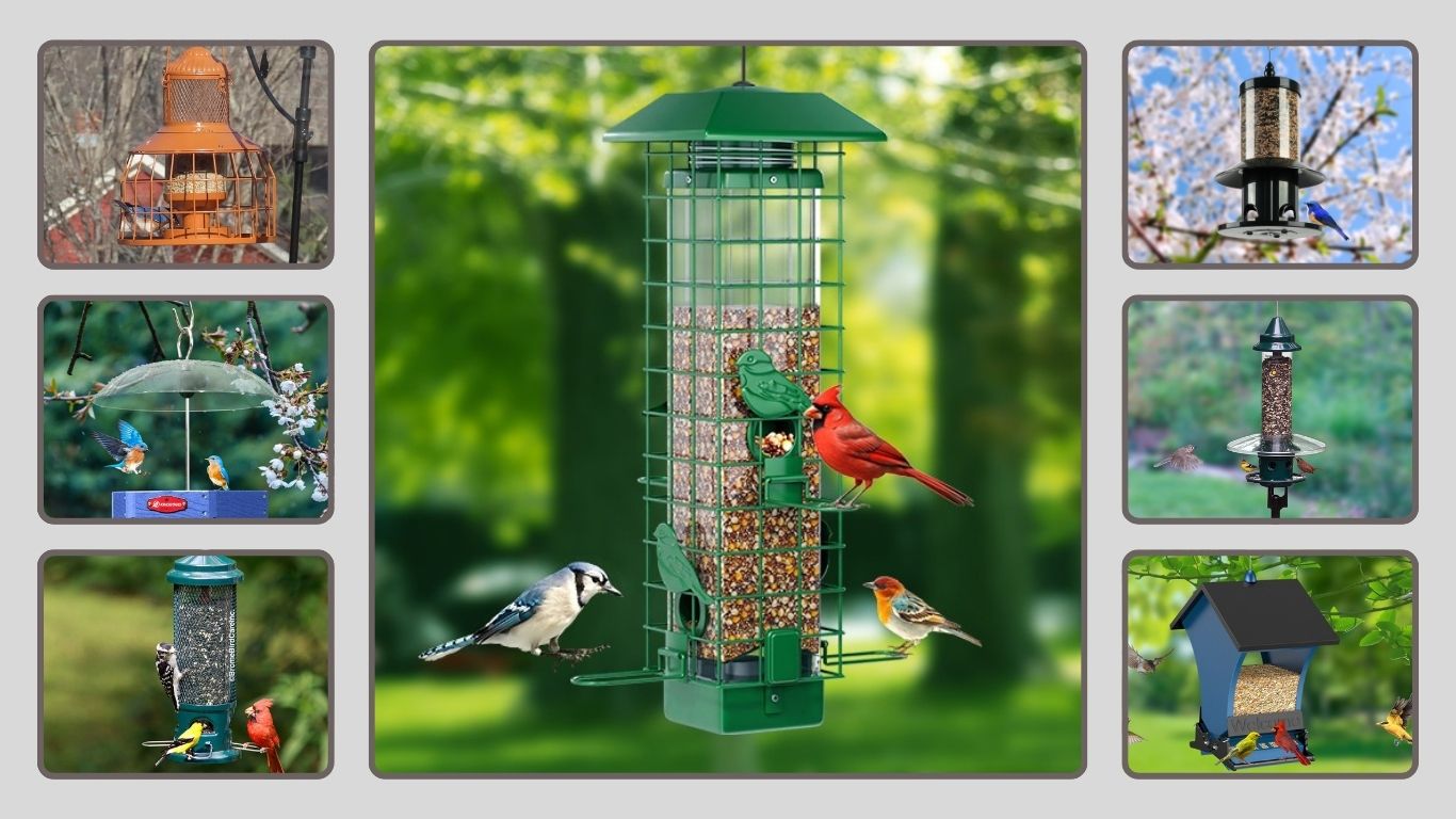 16 Best Bird Feeders That Are Squirrel Proof: Reviews in 2026