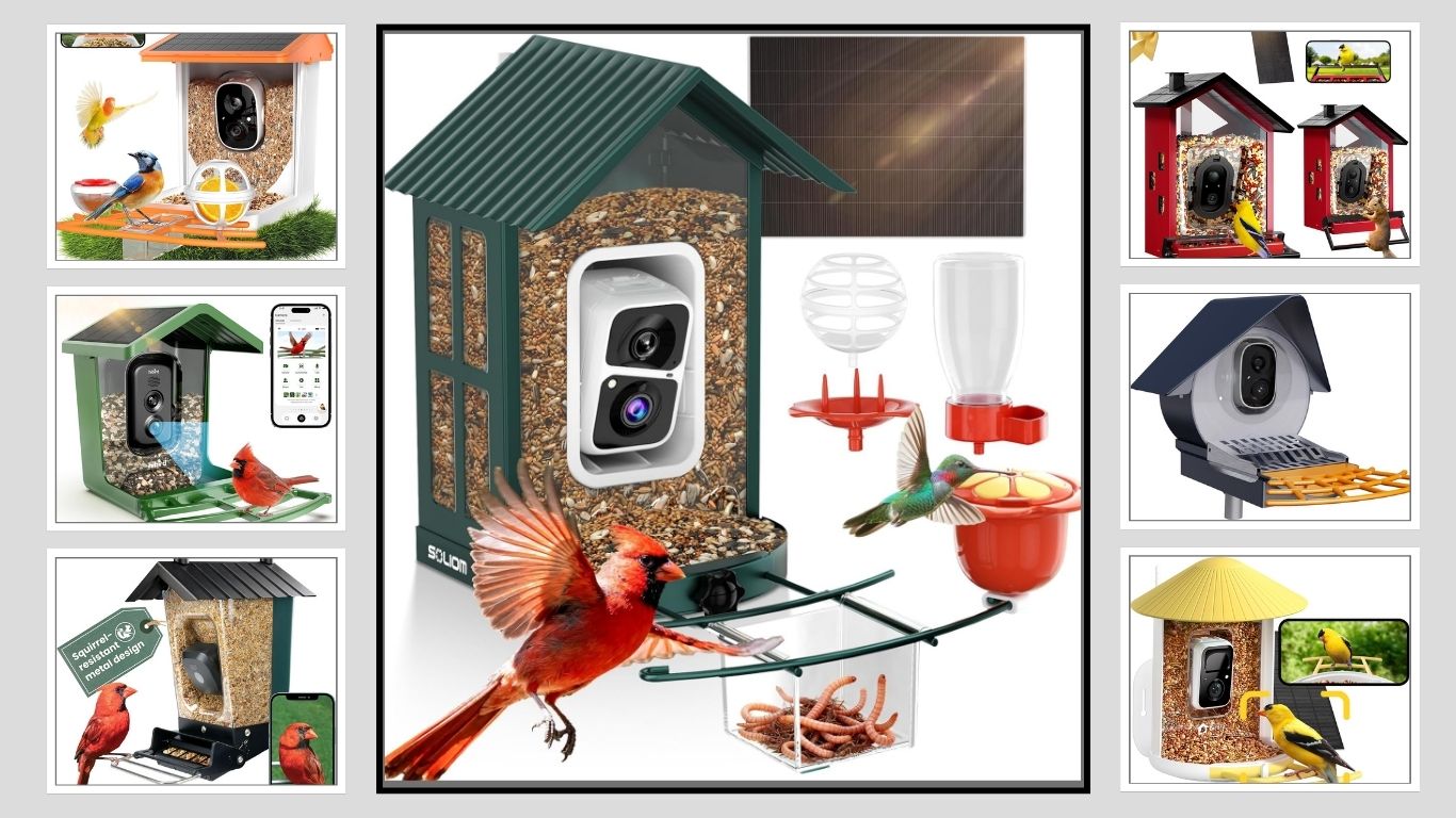 7 Best Bird Feeder With Camera Squirrel Proof in 2026 