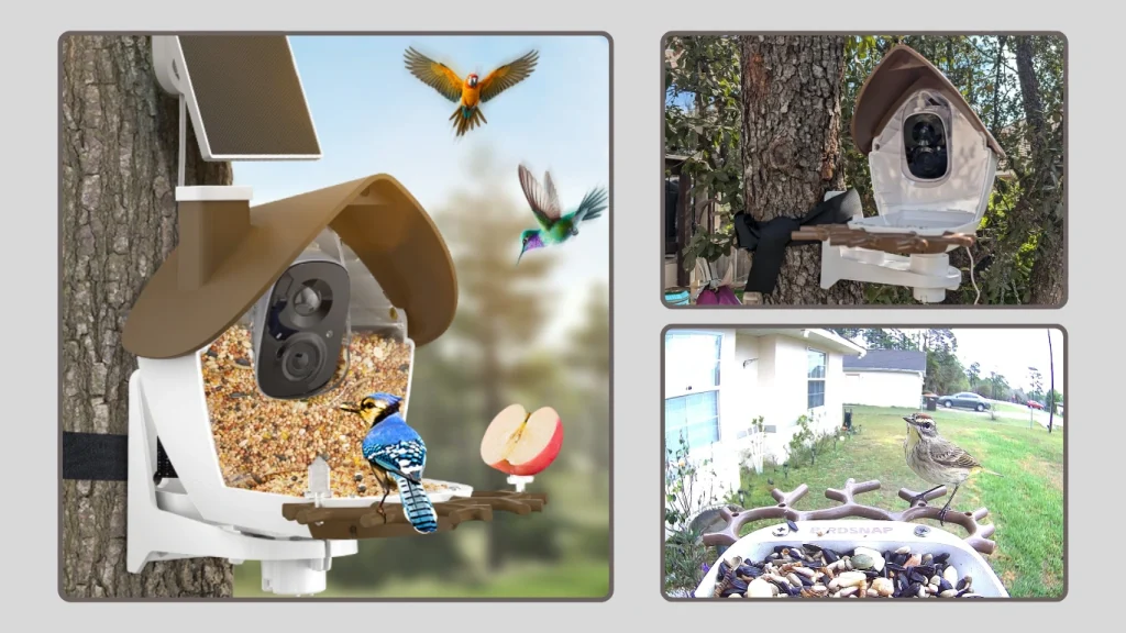 birdsnap® P33 Solar-Powered Bird Identification Feeder Camera