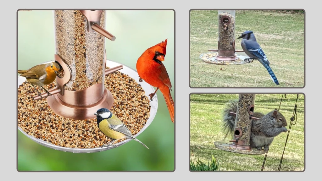 iBorn Bird Feeders Seed Catcher for Outside Hanging