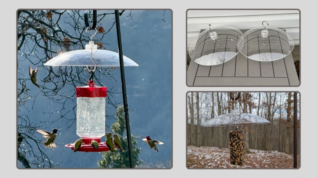 iBorn Chew-Proof Polycarbonate Bird Feeder Cover