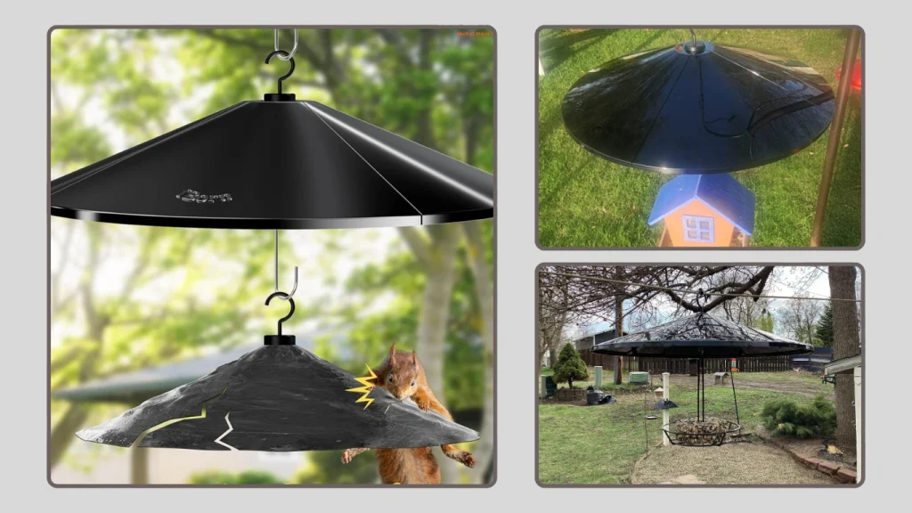 iBorn Oversize Squirrel Baffle – Chew-Proof Feeder Protector