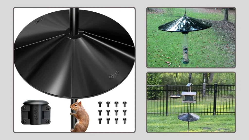 iBorn Squirrel Oversized Protector Chew-Proof Bird Feeder Guard
