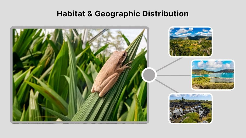 Habitat & Geographic Distribution