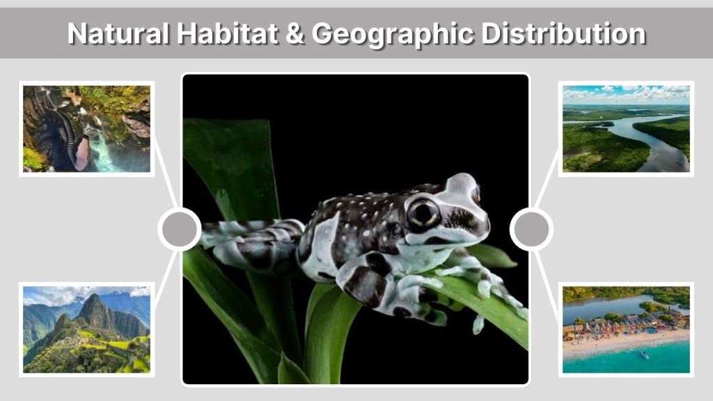 Natural Habitat & Geographic Distribution